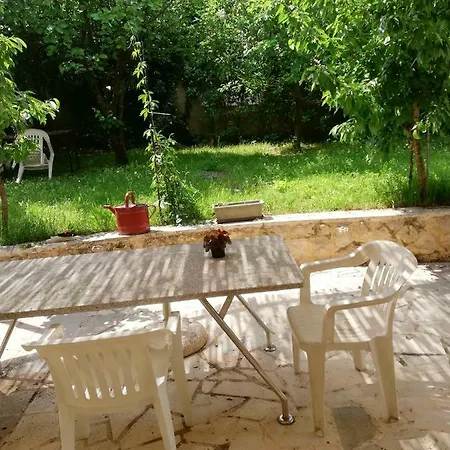 Holiday Dunja * Runovic