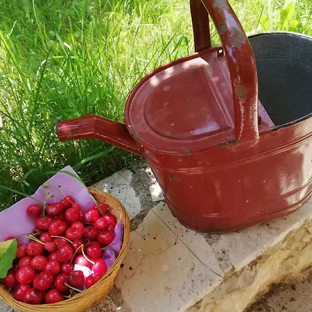 Holiday Dunja Holiday home Runovic